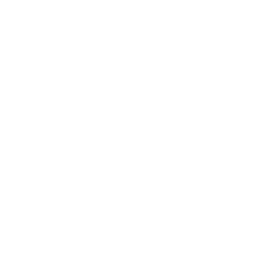 logo ntech consulting sq
