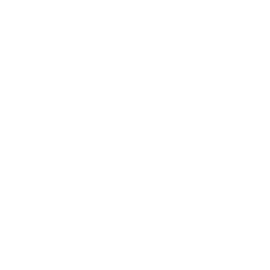 logo saje network systems sq